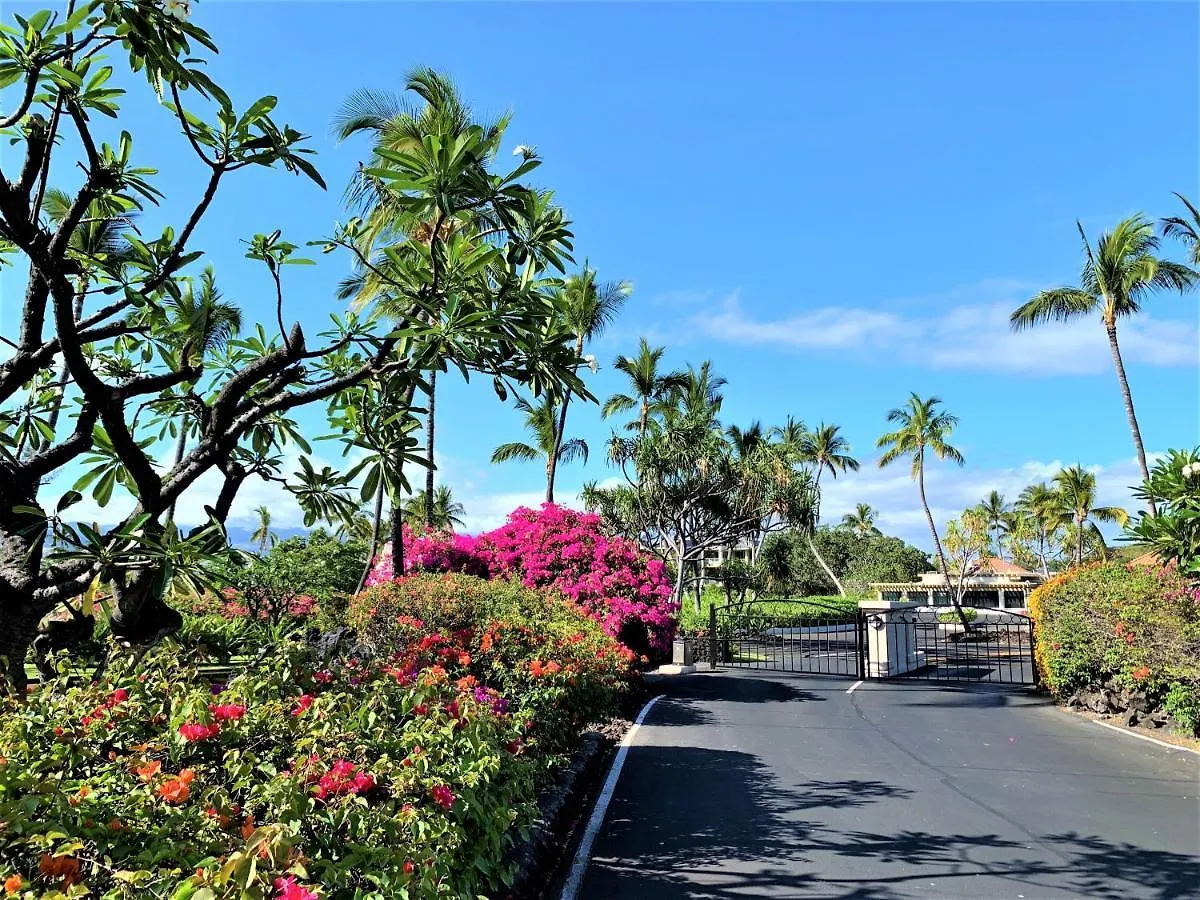 Coconut At Shores - Waikoloa Beach Resort